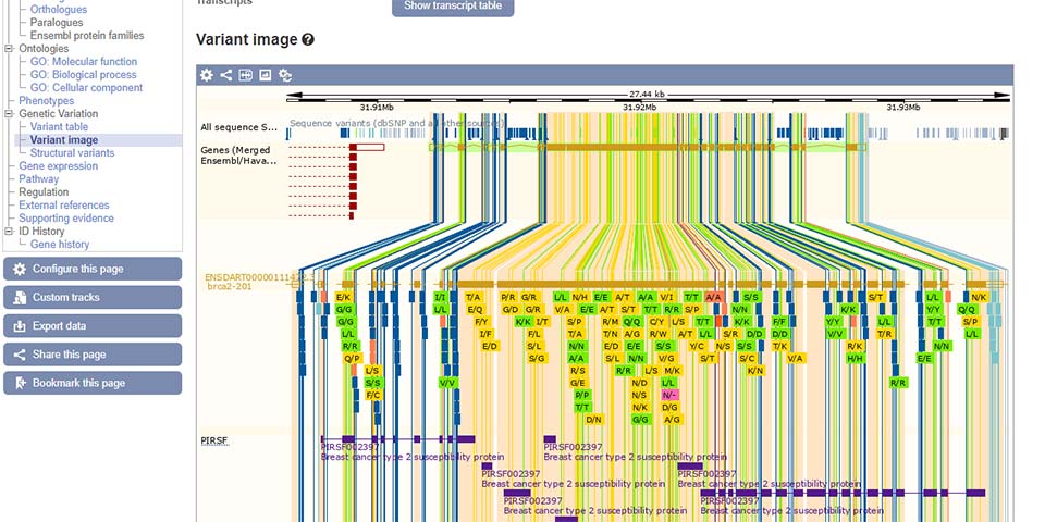 Screenshot of Ensembl Transcript SNP View - known affectionately as Big Top View