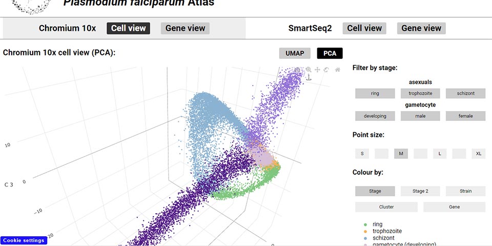 Screenshot of Malaria Cell Atlas visualised page